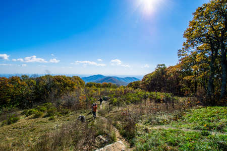 Colorful Leaves in Shenandoah National Park During high Fall Color in Virginaの写真素材