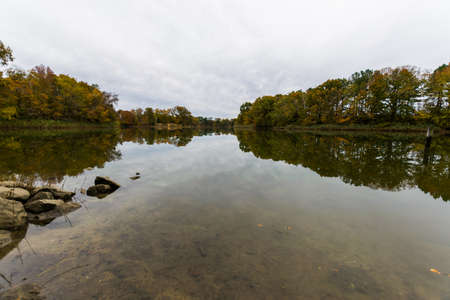 Autumn Trees Lake Side on Wye Island in Baltimore, Marylandの写真素材