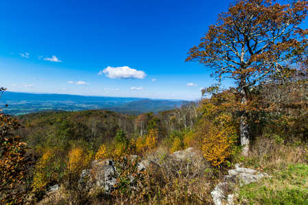 Colorful Leaves in Shenandoah National Park During high Fall Color in Virginaの写真素材