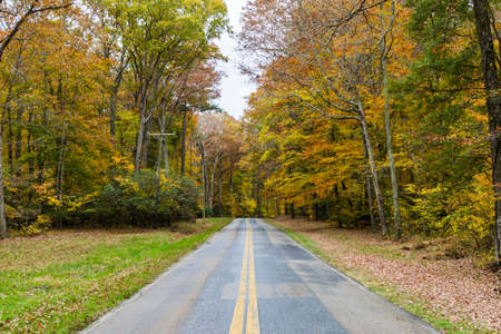 Country Road Cutting Through St Michaels in Baltimore, Maryland in Fallの写真素材