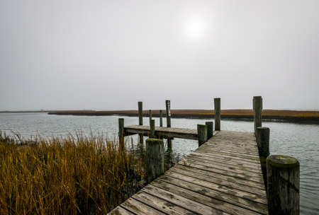 Assateague Island, Maryland during a Warm Fall Dayの写真素材