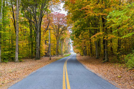 Country Road Cutting Through St Michaels in Baltimore, Maryland in Fallの写真素材