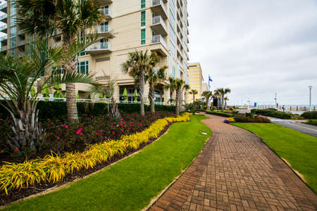 Buildings at Virginia Beach, Virginia during a Warm Fall Dayのeditorial素材