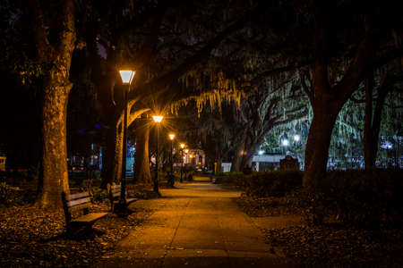 Forsyth Park in Savannah, Georgia at Nightの写真素材