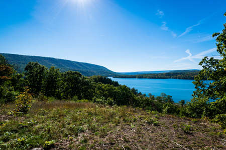 Lush Vegetation Around Raystown Lake, in Pennsylvania During Summerの写真素材