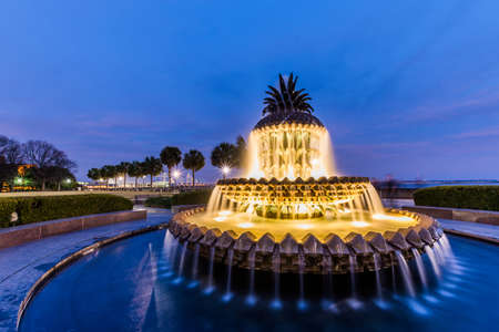 Pineapple Fountain  at Water Front Park, in Charleston, South Carolina at Nightの写真素材