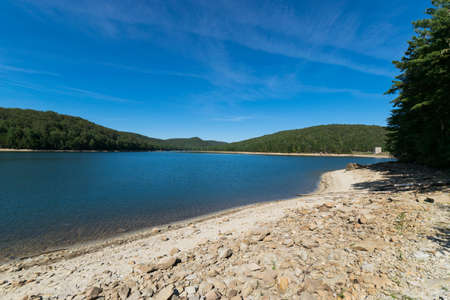 Overlooking Long Pine Reservoir in Michaux State Forest, Pennsylvania During Summerの写真素材