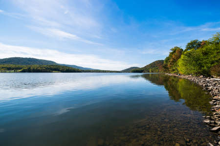 Lush Vegetation Around Raystown Lake, in Pennsylvania During Summerの写真素材