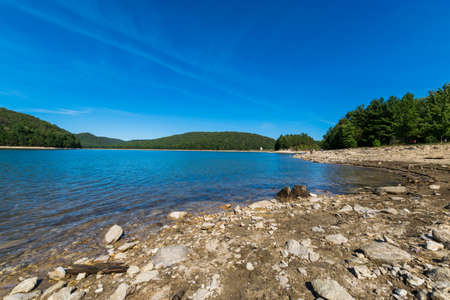 Overlooking Long Pine Reservoir in Michaux State Forest, Pennsylvania During Summerの写真素材