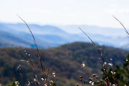 Skyline of The Blue Ridge Mountains in Virginia at Shenandoah National Park During High Fall Colorの写真素材