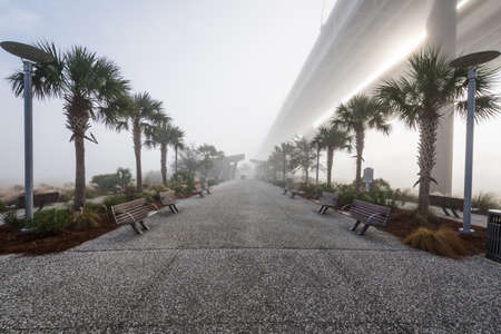 Wonders Way Walkway Dock in Charleston South Carolina in Fogの写真素材