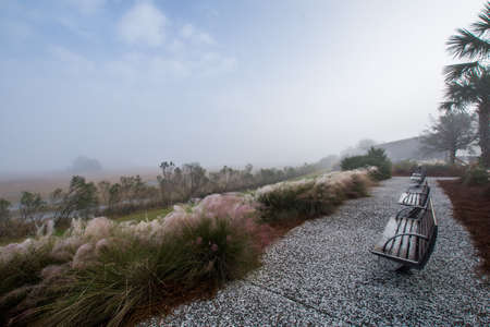 Wonders Way Walkway Dock in Charleston South Carolina in Fogの写真素材