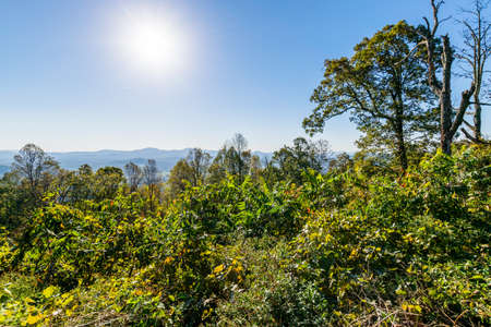 Skyline of The Blue Ridge Mountains in Virginia at Shenandoah National Park During High Fall Colorの写真素材