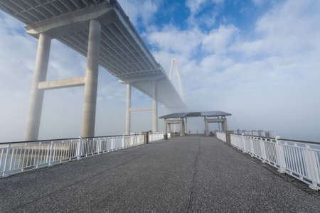 Wonders Way Walkway Dock in Charleston South Carolina in Fogの写真素材