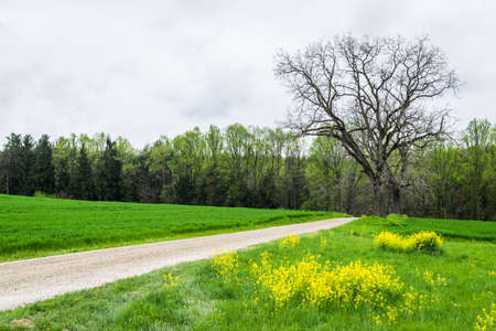 Landscape of lush farmland around southern york county pennsylvania