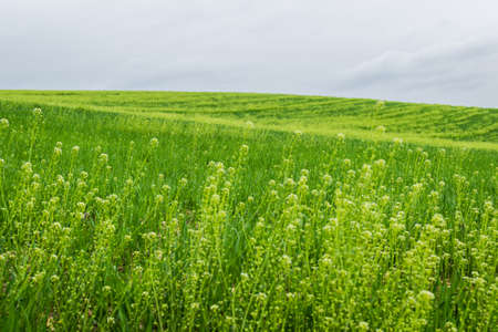 Landscape.の写真素材