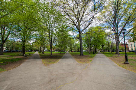 Historic District of Court Street in Wooster Square in New Haven, Connecticutの写真素材