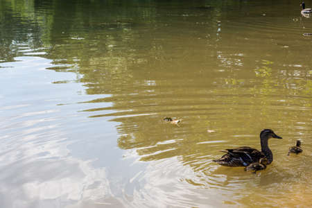 Hiking Area in Baker Park in  Frederick, Marylandの写真素材