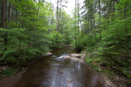 Scenic Waterfall in Ricketts Glen State Park in The Poconos in Pennsylvaniaの写真素材