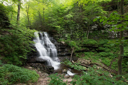 Scenic Waterfall in Ricketts Glen State Park in The Poconos in Pennsylvaniaの写真素材