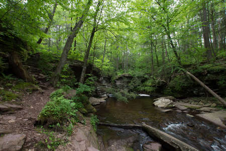 Scenic Waterfall in Ricketts Glen State Park in The Poconos in Pennsylvaniaの写真素材