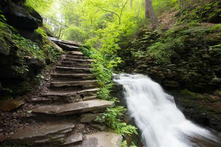 Scenic Waterfall in Ricketts Glen State Park in The Poconos in Pennsylvaniaの写真素材