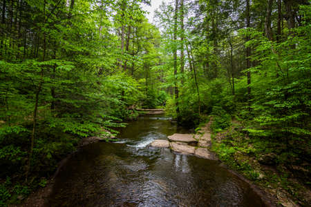 Scenic Waterfall in Ricketts Glen State Park in The Poconos in Pennsylvaniaの写真素材