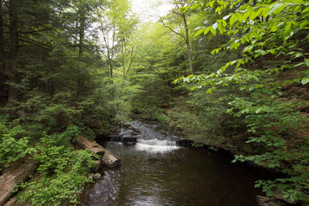 Scenic Waterfall in Ricketts Glen State Park in The Poconos in Pennsylvaniaの写真素材
