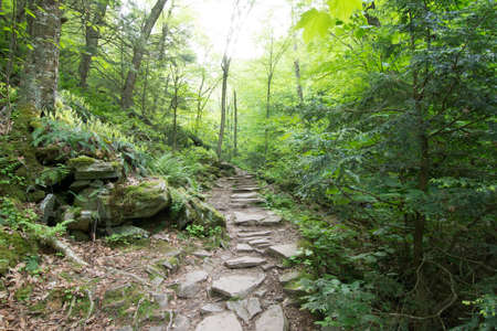 Scenic Waterfall in Ricketts Glen State Park in The Poconos in Pennsylvaniaの写真素材