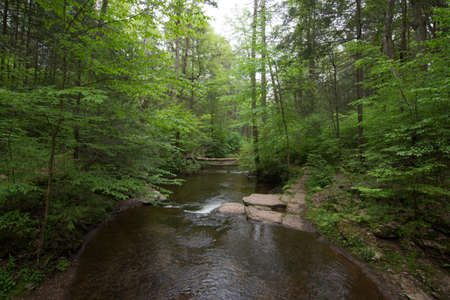 Scenic Waterfall in Ricketts Glen State Park in The Poconos in Pennsylvaniaの写真素材