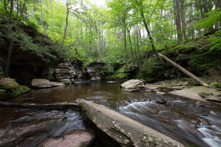 Scenic Waterfall in Ricketts Glen State Park in The Poconos in Pennsylvaniaの写真素材