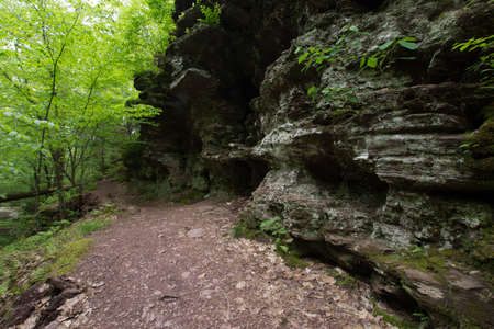 Scenic in Ricketts Glen State Park in The Poconos in Pennsylvaniaの写真素材