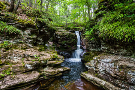 Scenic Waterfall in Ricketts Glen State Park in The Poconos in Pennsylvaniaの写真素材