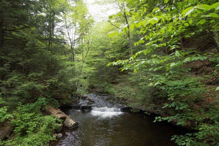 Scenic Waterfall in Ricketts Glen State Park in The Poconos in Pennsylvaniaの写真素材