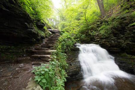 Scenic Waterfall in Ricketts Glen State Park in The Poconos in Pennsylvaniaの写真素材