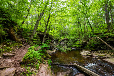 Scenic Waterfall in Ricketts Glen State Park in The Poconos in Pennsylvaniaの写真素材