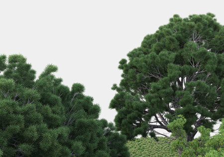 Wild bush with flowers isolated on grey background. 3d rendering - illustrationの写真素材