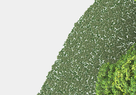 Foliage landscape for photo manipulation isolated on white and black background. 3d rendering -...