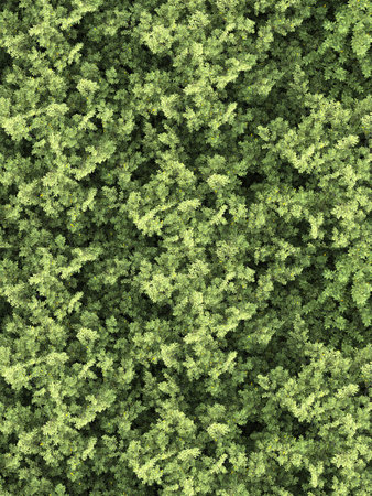 Forest isolated. Image useful for banners and posters or photo manipulations. 3d rendering.の写真素材