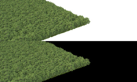 Forest isolated. Image useful for banners and posters or photo manipulations. 3d rendering.