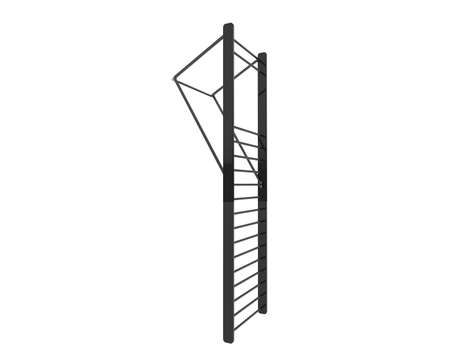 Gymnastics wall bars isolated on background. 3d rendering - illustration