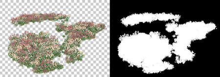 Field of wild trees from mountain isolated on background with mask. 3d rendering - illustrationの写真素材