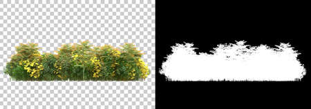 Background illustration of green field of grass with flowers with mask. 3D rendering- Illustrationの写真素材