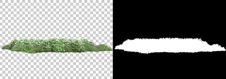 Field of wild flowers and grass isolated on background with mask. 3d rendering - illustrationの写真素材