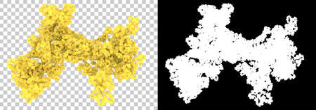 Medicinal herbs isolated on white and black background for banners. 3d rendering - illustrationの写真素材