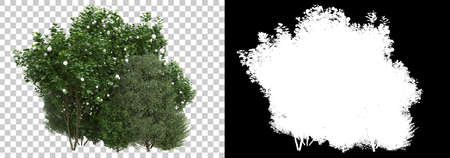 Green surface covered with wild grass and flowers isolated on white and black background for banners. 3d rendering - illustrationの写真素材