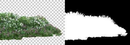 Field of wild trees from mountain isolated on background with mask. 3d rendering - illustrationの写真素材