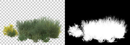 Background illustration of green field of grass with flowers. 3D rendering. Useful for commercial banners and print - Illustrationの写真素材