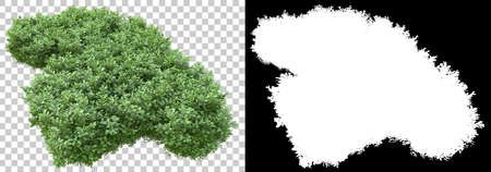 Turf isolated on white and black background for banners. 3d rendering - illustrationの写真素材