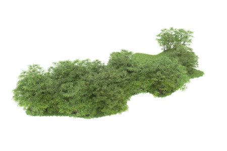 3D rendering of a green island with trees isolated on white backgroundの写真素材
